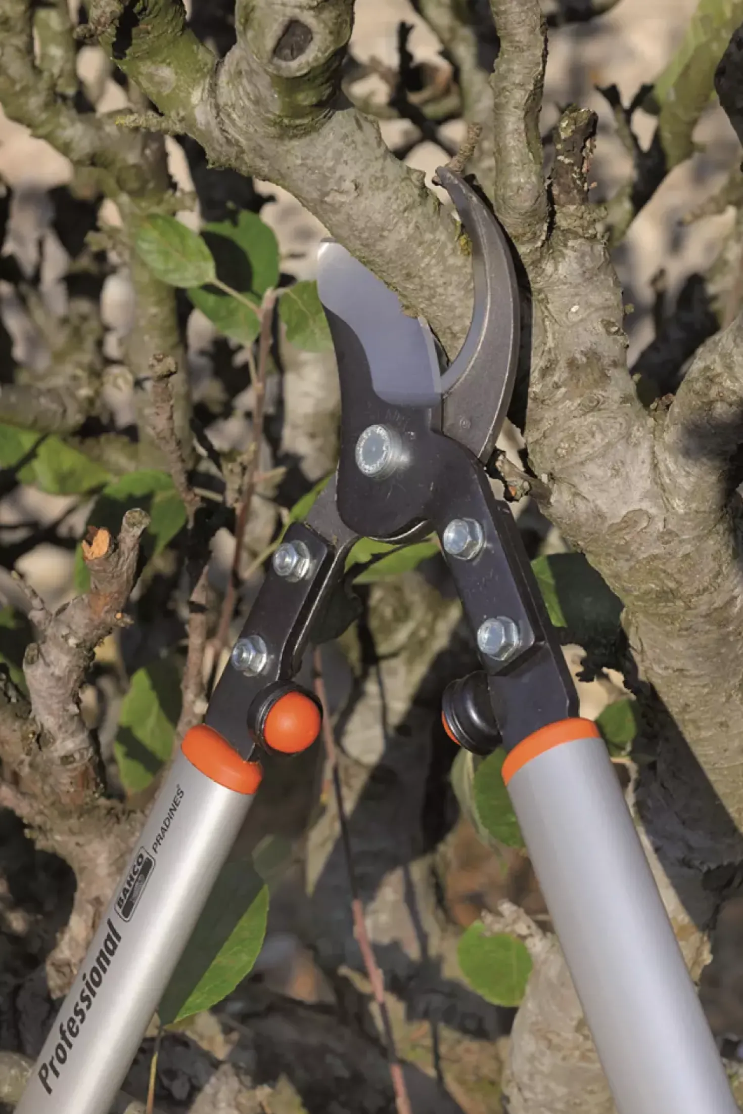 Bahco P160-SL-90 Takkenschaar - Professioneel - 900mm