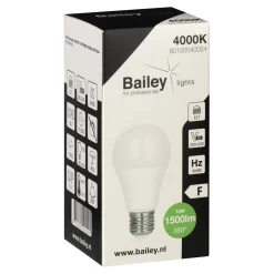 Bailey LED Ecobasic A60 E27 15W (99W) 1500lm 840 Opaal