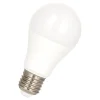 Bailey LED Ecobasic A60 E27 12W (81W) 1160lm 840 Opaal