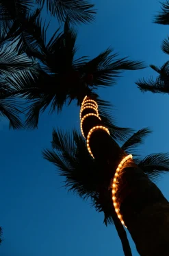 Bailey RoBust LED Rope 360° - 25M - 5W/m - 400Lm/m - 3000K - IP65