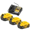 DeWALT DCB1104P3 18V Li-ion XR accu Starterset (3x 5.0Ah) + lader