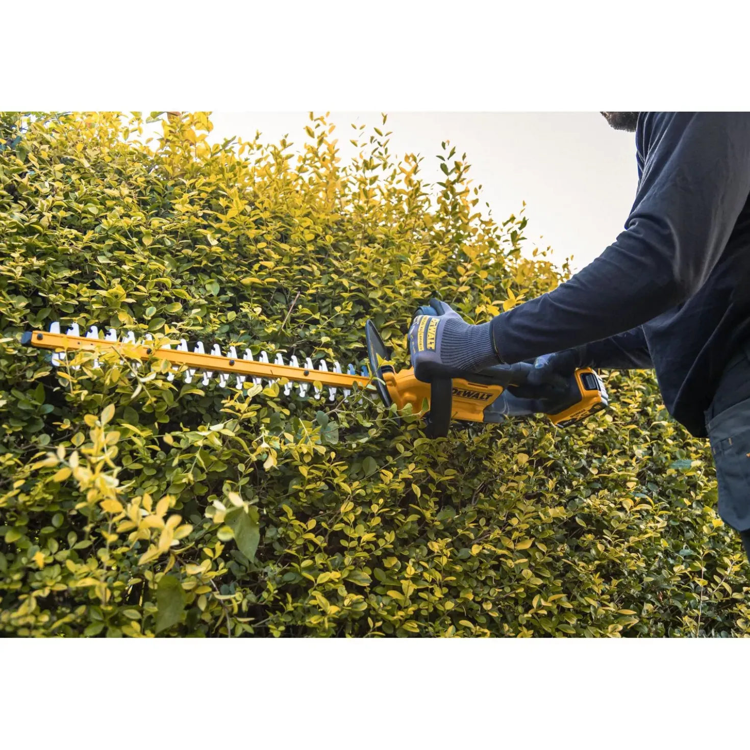DeWALT DCMHT562N-XJ 18V XR Li-ion accu heggenschaar body - 550mm