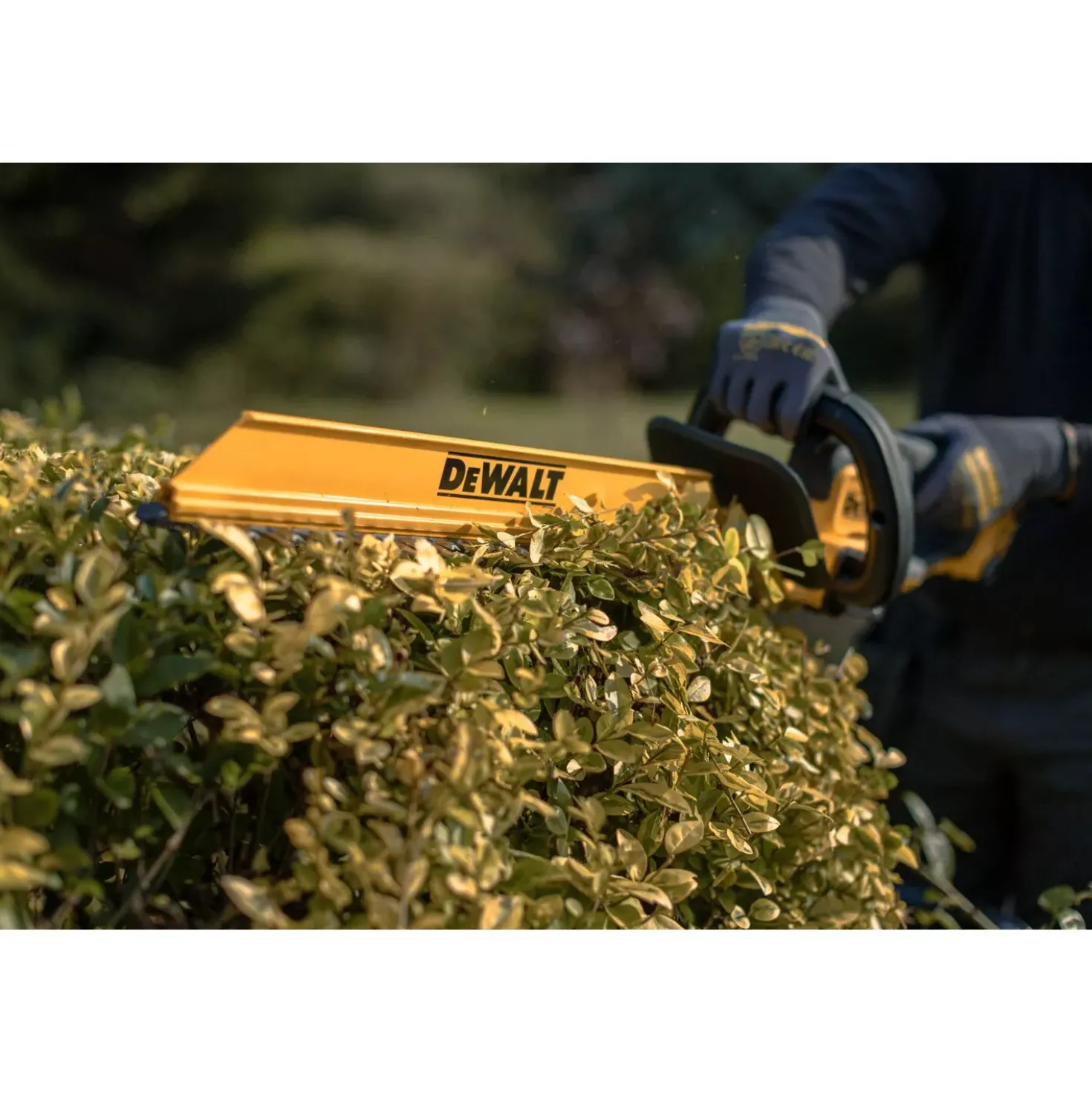 DeWALT DCMHT564P1-QW 18V XR Li-ion accu heggenschaar set (1x 5.0Ah accu) - 550mm