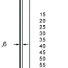 Dutack Fasteners 5138053 Brad - SKN16-20° - Verzinkt - 1,6 x 50mm (2000st)