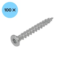 DynaPlus 0281.01.49901 Constructieschroef - TX30 - 6.0 x 50mm - Platkop - Voldraad - Verzinkt (100st)