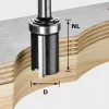 Festool 491028 HW S8 D19/NL25 Kantenfrees - 8" - 19,05mm - 25/62mm