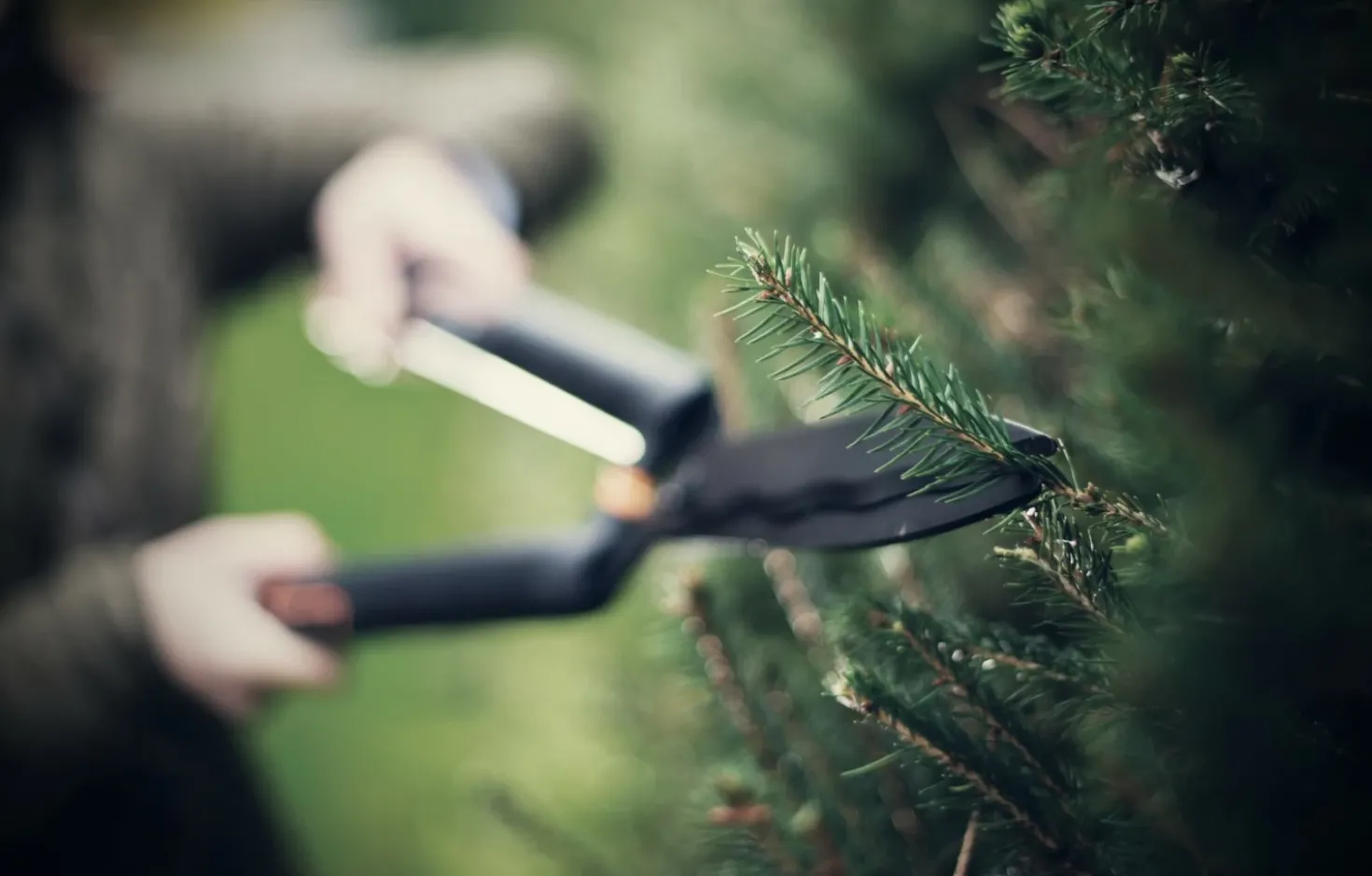 Fiskars HS22 Heggenschaar