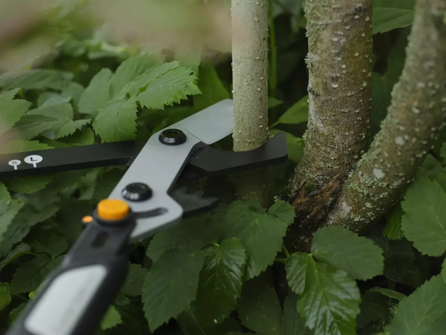 Fiskars LX108 X-Series DualAction bypass-takkenschaar