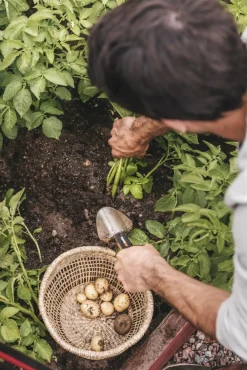 Fiskars 1027043 Xact Plantenschep - 375mm