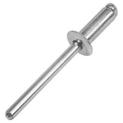Gesipa 1433561 Standaard blindklinknagel - Platbolkop - ST/ST - 4,8 x 16mm (500st)