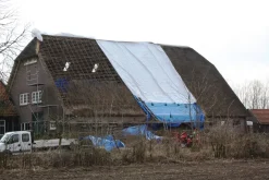Little Jumbo 34221015 Dekzeil - Wit - 10 x 15m - 220gr/m²
