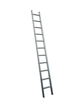 Little Jumbo 1250100112 Enkele ladder - 12 Sporten - 3,25m