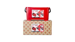 Rubi 21995 Rubiclean SuperPro Washboy Triple - 22L
