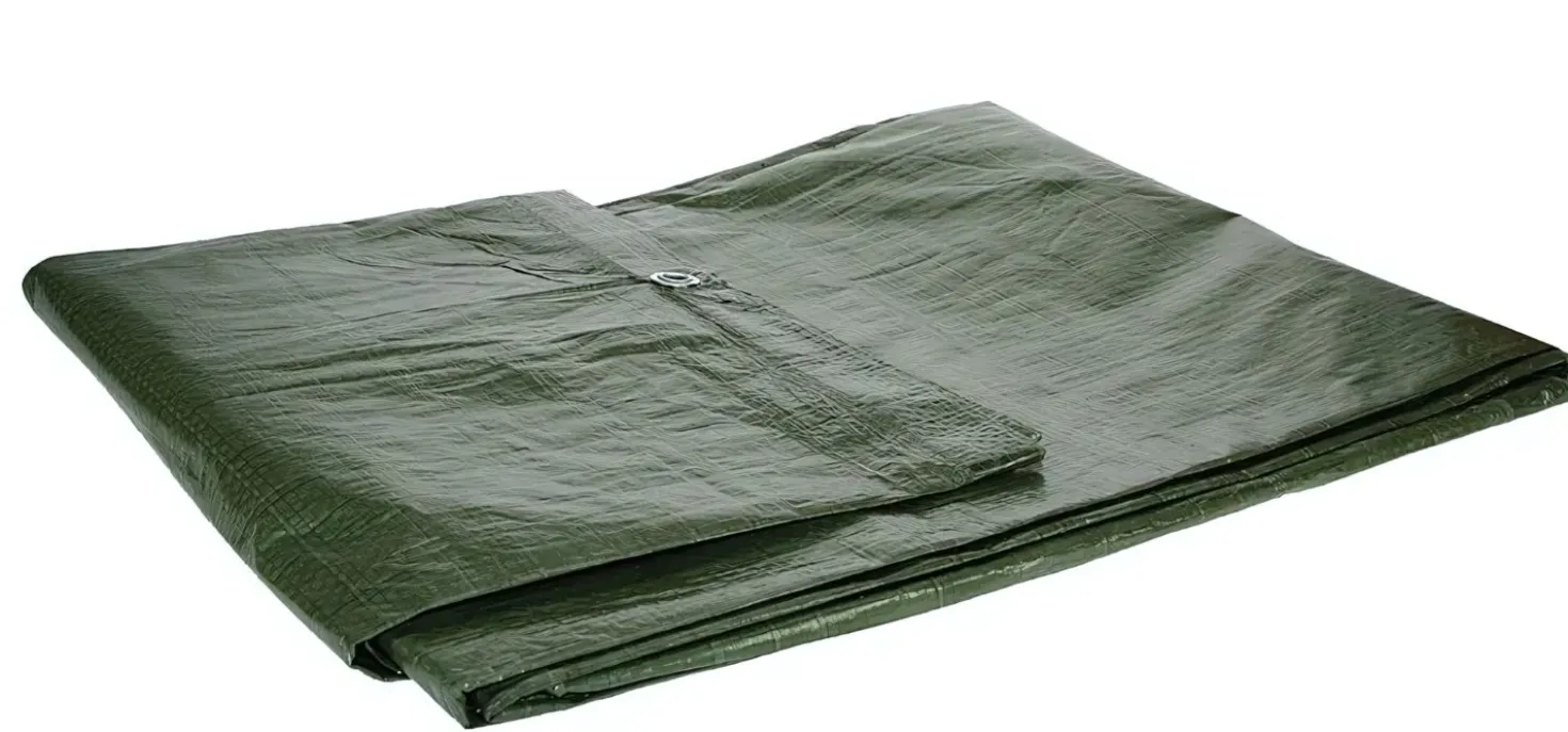 Talen Tools 860010 Dekzeil - 90gr/m2 - 2 x 4m - Groen