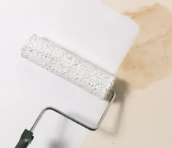 Zinsser Bulls Eye 1-2-3 Plus